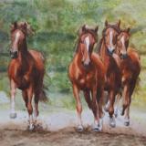 Herd of young horses, 35cm x 50cm, 2014