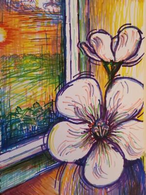 Flowers by Window Flowers by Window