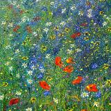 Poppy Meadow (sold)