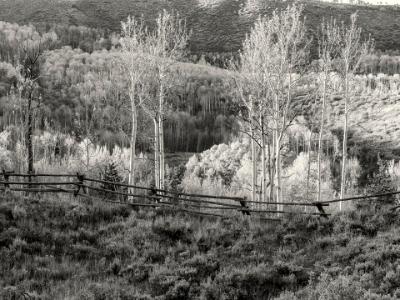 Aspen Ridge and Wooden Fence B&W Aspen Ridge and Wooden Fence B&W