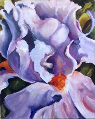Iris