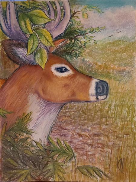 Deer Portrait 