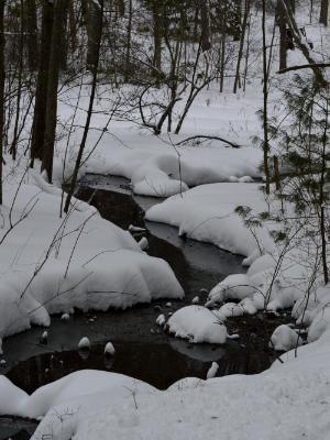 cutting through the snow