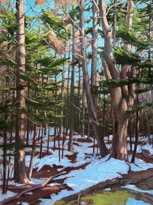 March Woods 30x40" March Woods 30x40"