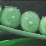 Pea stem  12" x 36"   sold