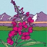 Alaska Florals