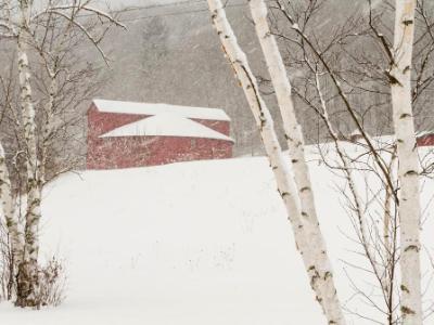 Winter's Day at the Round Barn Winter's Day at the Round Barn