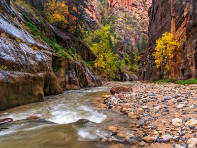 The Canyon Narrows The Canyon Narrows