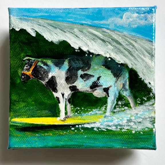 COW TAKES ONE AT STEAMER LANE
