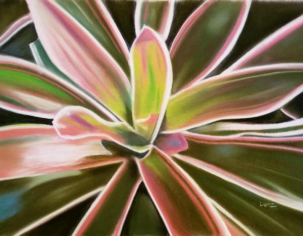 "Striped Bromeliad 2"