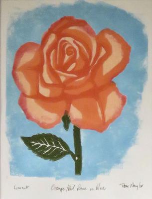 Orange/Red Rose on Light Blue