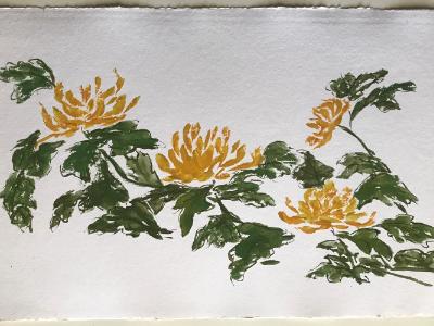 24"x36" Golden Mums (available) 24"x36" Golden Mums (available)