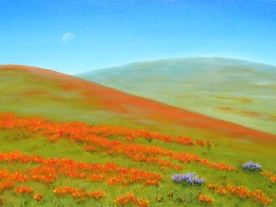 "POPPY FIELDS OF CALIFORNIA"