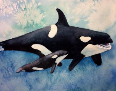 Orca Bond - SOLD Orca Bond - SOLD