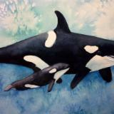 Orca Bond - SOLD