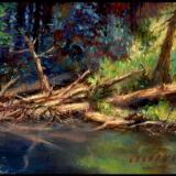 SOLD15.Beaverville 5x7