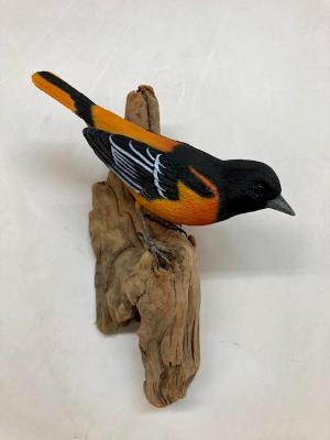 Oriole #5
