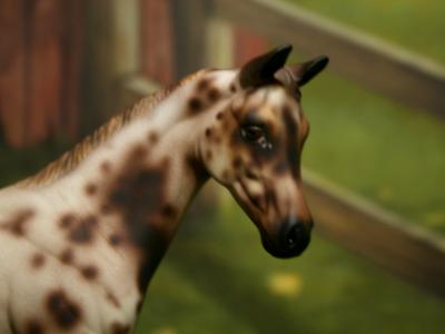 New! Custom P.S Weanling - SOLD