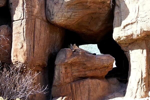 Watching and Waiting