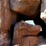 Watching and Waiting