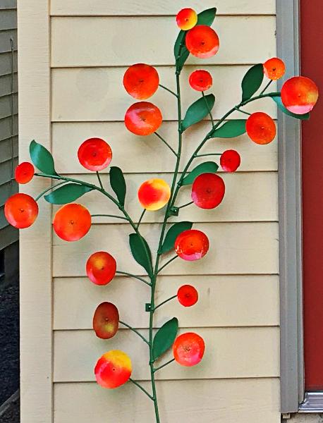 Garden Shed