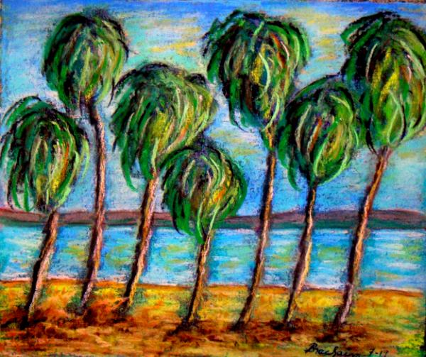 Palmbeach