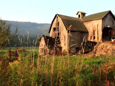 Barkaboom Barn and Wheat Barkaboom Barn and Wheat