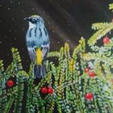 Patricia Gray, Fine Arts