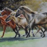 The beauty of the Lucitanos horses, 38cm x 56cm, 2022