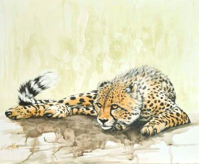 Duma Mtata   Cheetah Child