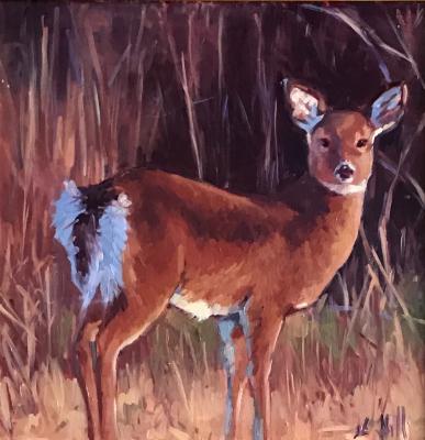 Doe a Deer Doe a Deer