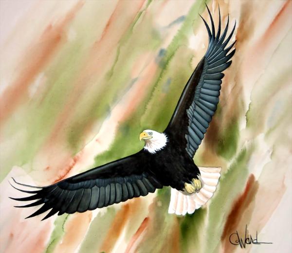 Soaring Free (watercolor)