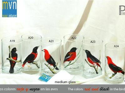 Srçet of handpainted glasses: BLACK AND RED BIRDS