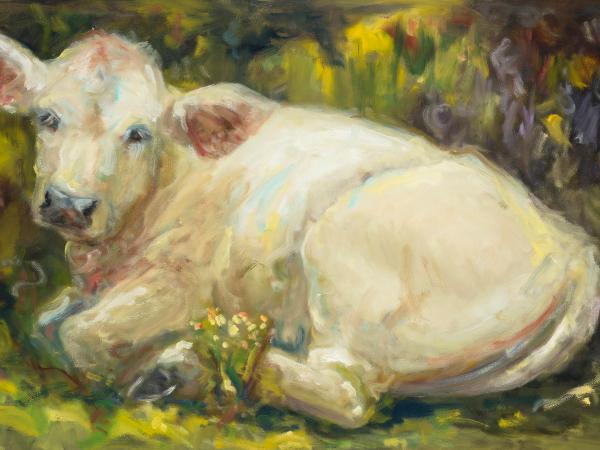 The White Calf