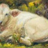 The White Calf