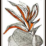 Plant in Pot