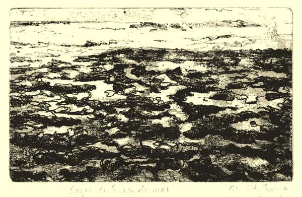 (5)Rock Pools