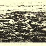 (5)Rock Pools