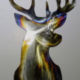 Torched Buck Head