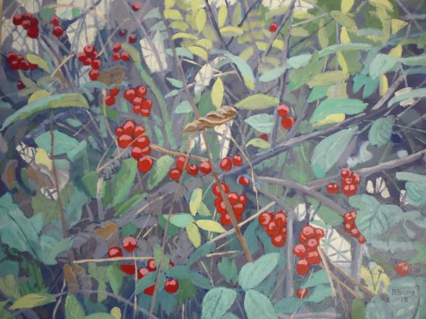 Hedgerow with black bryony berries