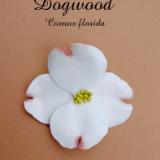 White Dogwood Pin
