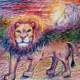 Lion Imagery
