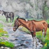 Equine curiosity, 38cm x 56cm, 2022