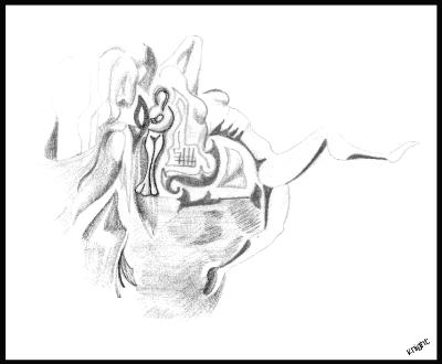 Birth Birth
