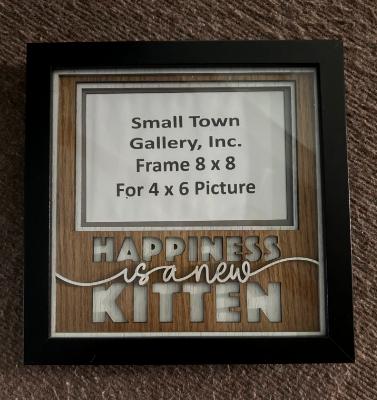 Kitten