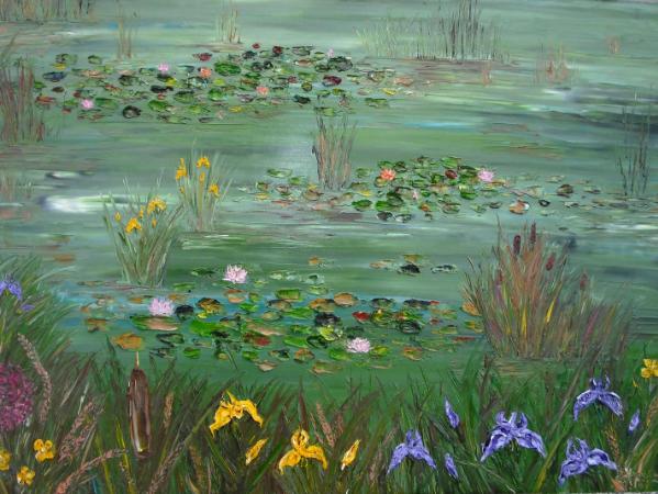 Water lillies at Headford