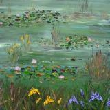 Water lillies at Headford