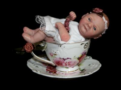 Reborn Tiny 6" Teacup Baby ~ ADOPTED/SOLD