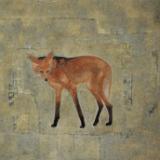 Maned Wolf