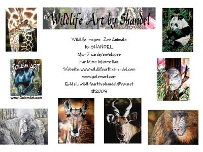 Note Cards: Zoo Animals